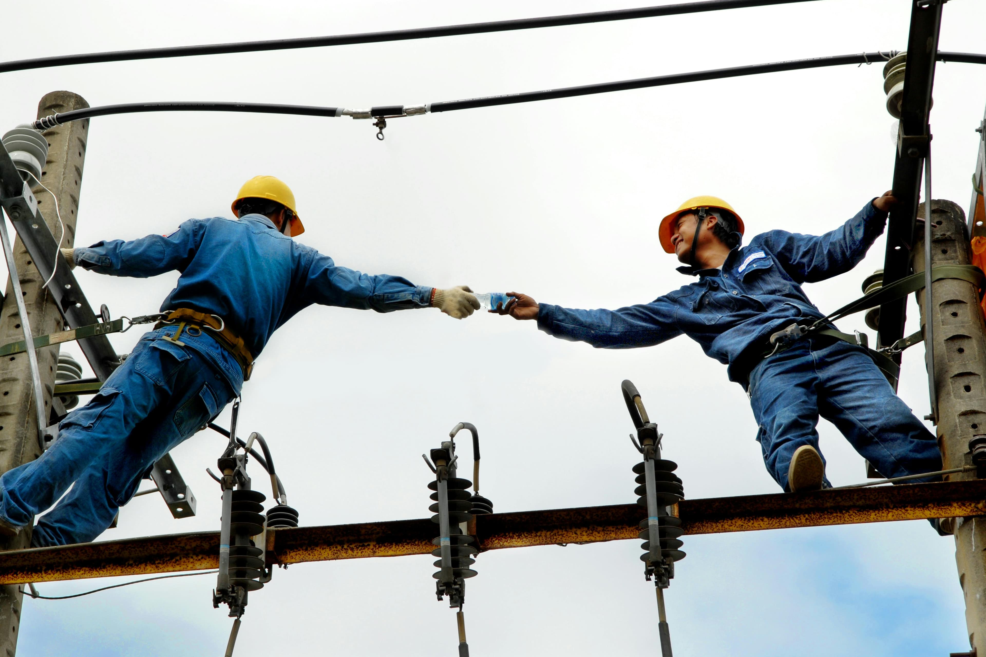 Wiring, fit-out readiness, and disciplined installation support